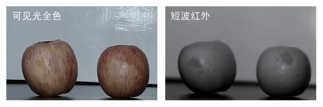 短波紅外鏡頭水果損傷檢測(cè) 圖片關(guān)鍵詞